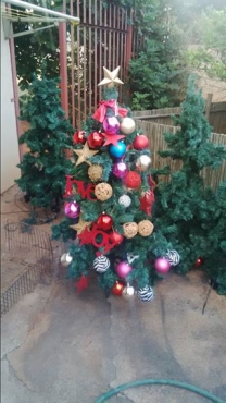 fully decorated christmas trees with lighs boksburg fully decorated christmas trees with lighs boksburg