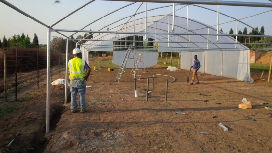 Greenhouse Tunnel farming Gauteng,0604792818,Mini ...