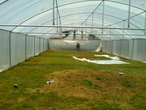 Flowgrow Hydroponics Home Page