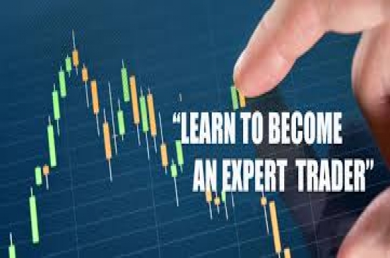 Forex Trading Course Junk Mail Forex Trading Course