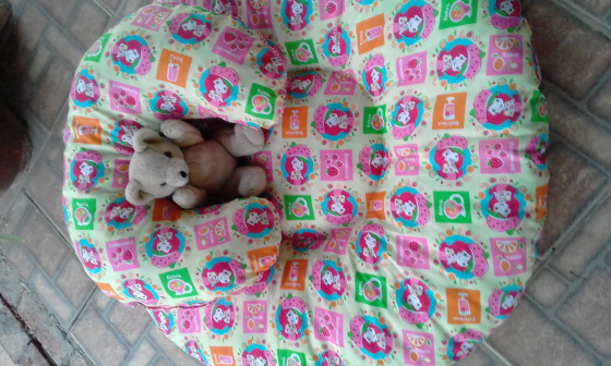 Brand New Baby Donut Plus Feeding Pillow Junk Mail