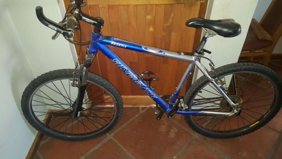 silverback phoenix mountain bike